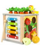 Дървен образователен куб 5в1